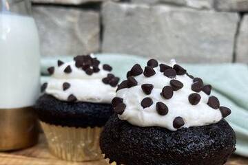 Kiddies cupcakes