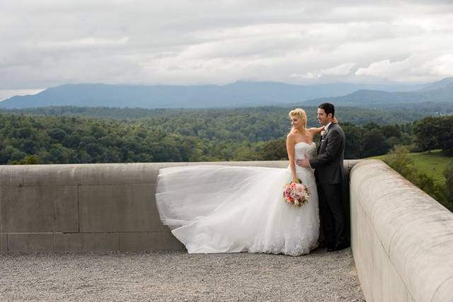 mother of the bride dresses in wilmington nc