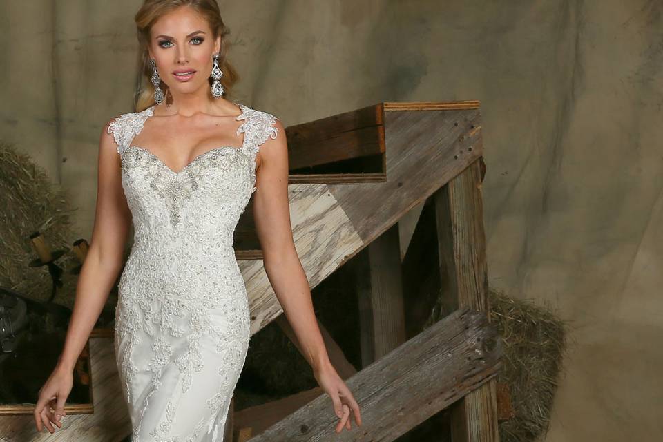 DaVinci Bridal Style #: 50336
Lace sheath gown with sweetheart neckline accented with beading.  Lace straps extend to create an open back.  Zipper back and chapel length train.