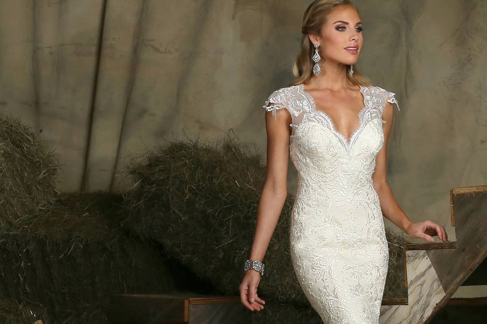 DaVinci Bridal Style #: 50329
Lace sheath gown with V-neckline is accented with scalloped hem and off the shoulder sleeves that extend to a high lace back with button closures.  Semi-cathedral train.