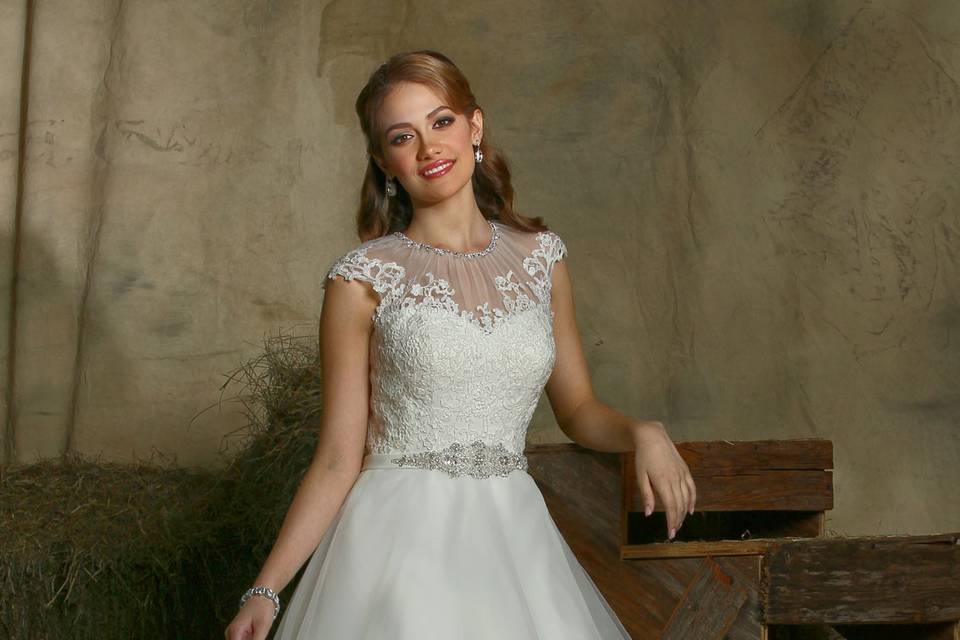 DaVinci Bridal Style #: 50326
Tulle ball gown features a lace bodice and satin trim at the natural waistline which is accented with intricate beading.  Rouched jewel neckline is trimmed with beading.  Lace appliques accent the cap sleeves that extend to a high sheer back with button closures.  Semi-cathedral train.