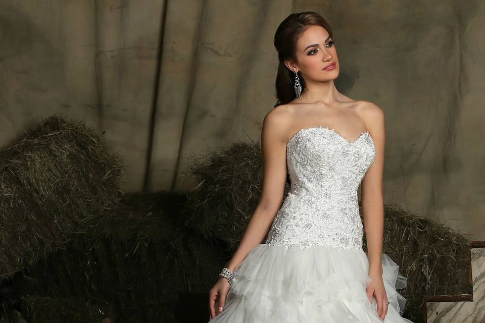 DaVinci Bridal Style #: 50325
Tulle ball gown with a sweetheart neckline, bodice is accented with lace and beading.  Dropped waistline and tiered tulle skirt with lace-up back and semi-cathedral train.