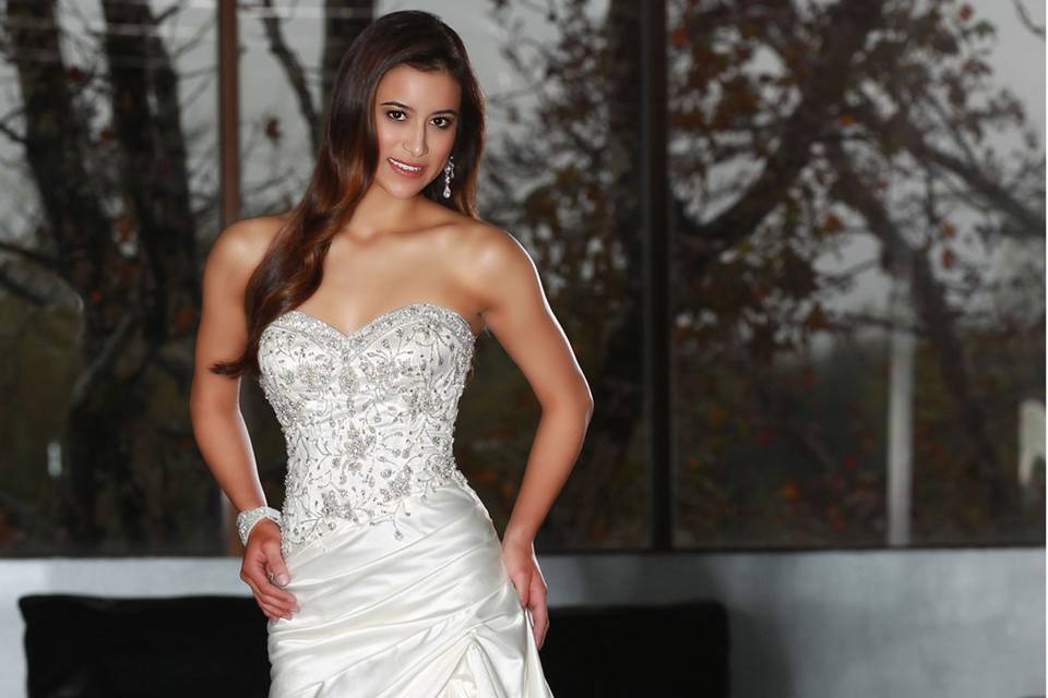 DaVinci Bridal Style #: 50217
Satin a-line gown with a beaded bodice and a sweetheart strapless neckline.  Dropped waist with pick up in the skirt.  Chapel length train.  Lace up back.