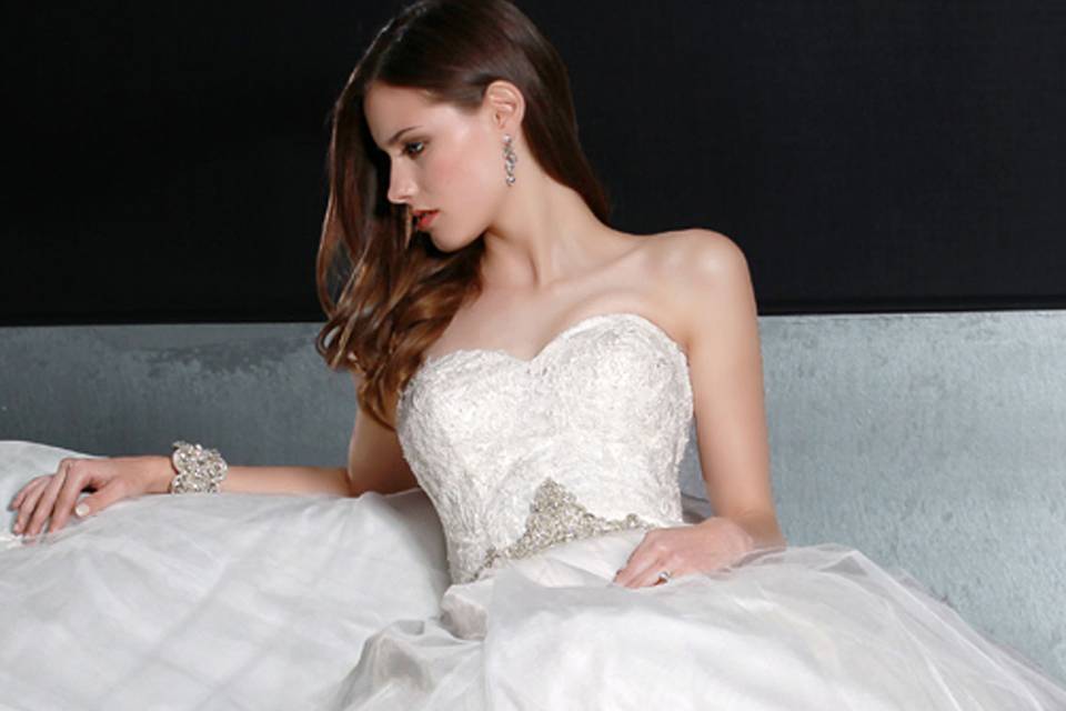 DaVinci Bridal Style #: 50193
Tulle ball gown with a sweetheart strapless neckline and a full lace bodice. Beaded trim accents the waist and lace on the hem of the skirt. Chapel length train.  Buttons cover a zipper Back.