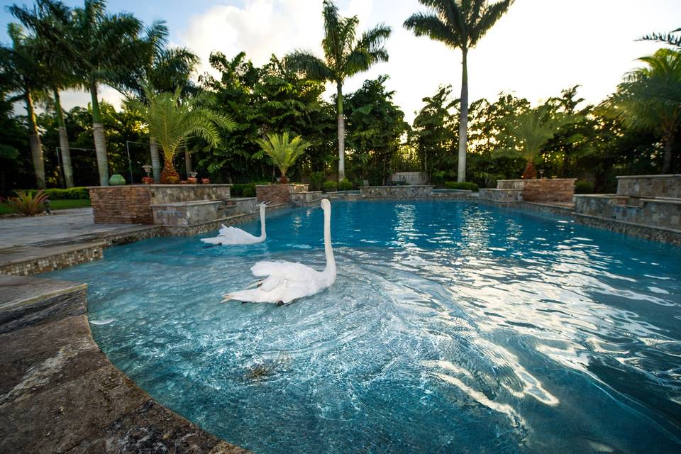 Events By Melani Garden