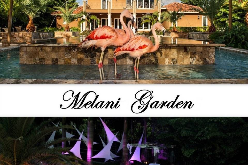Events By Melani Garden