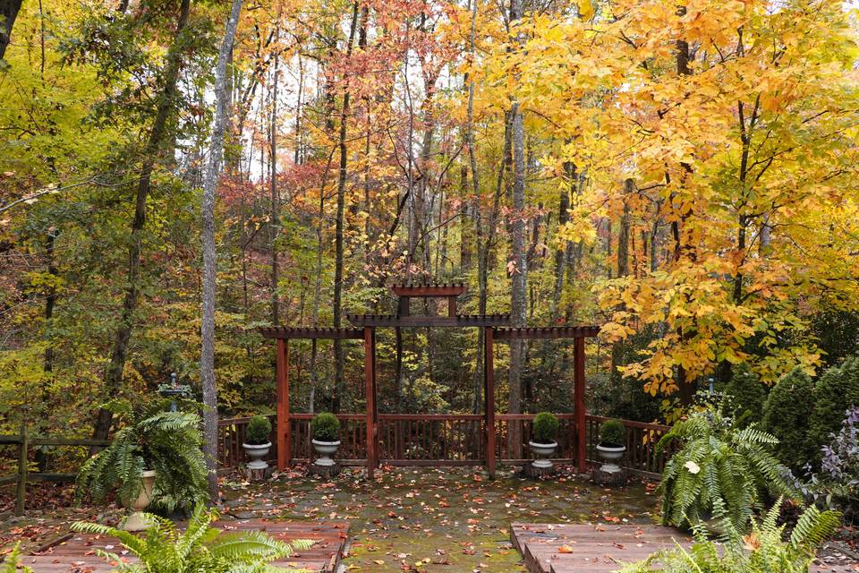 Fall Arbor