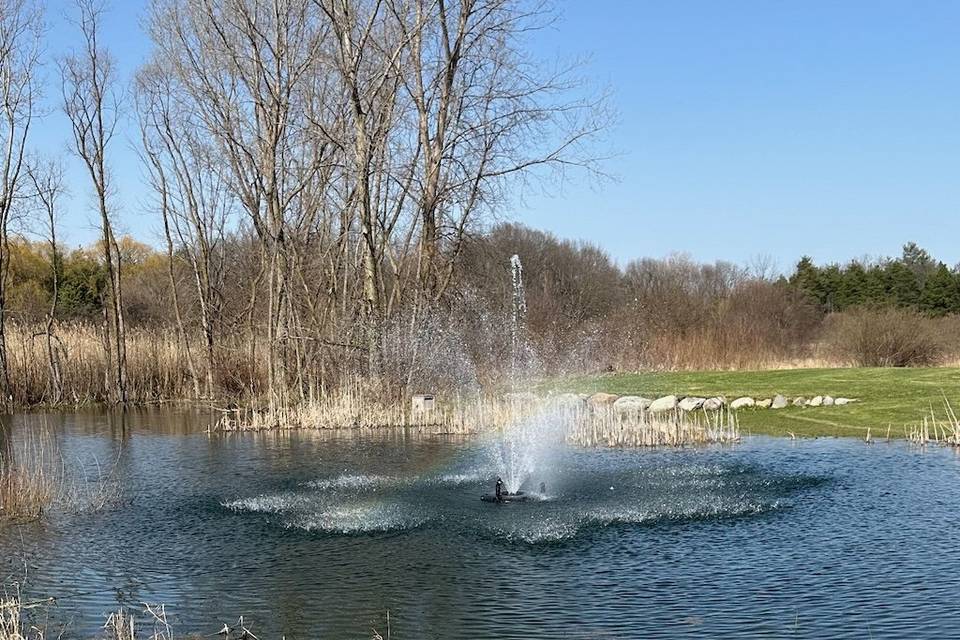 Early spring fountain