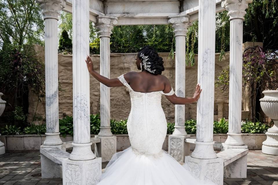The Dress