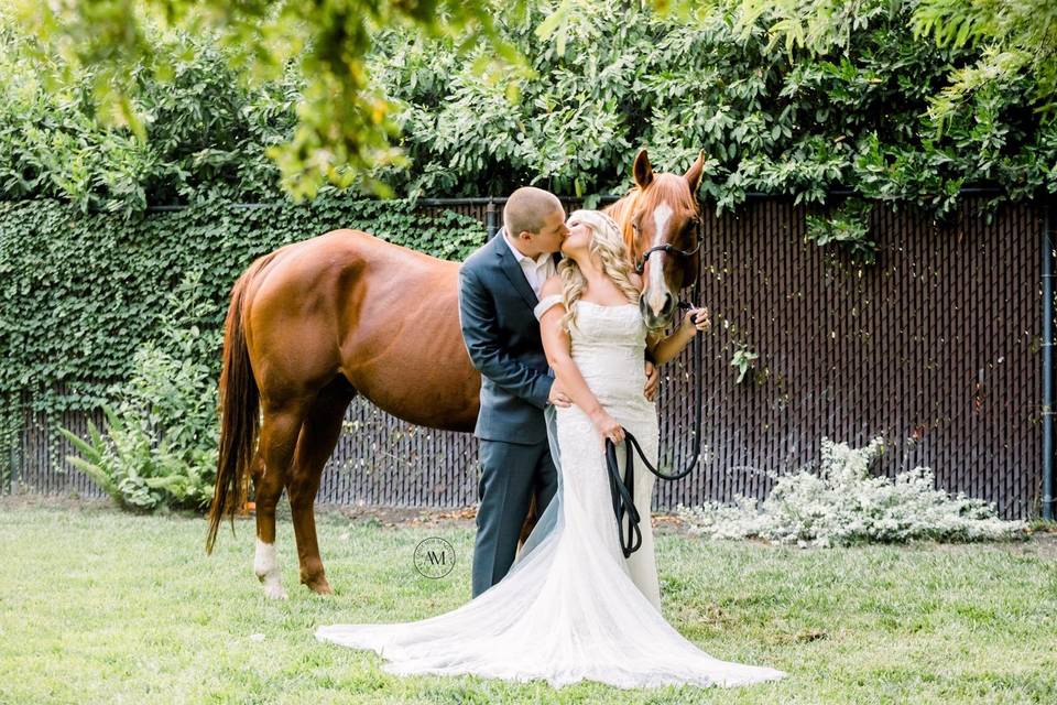 Beautiful equestrian home