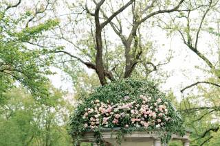 Petal's Edge Floral Design