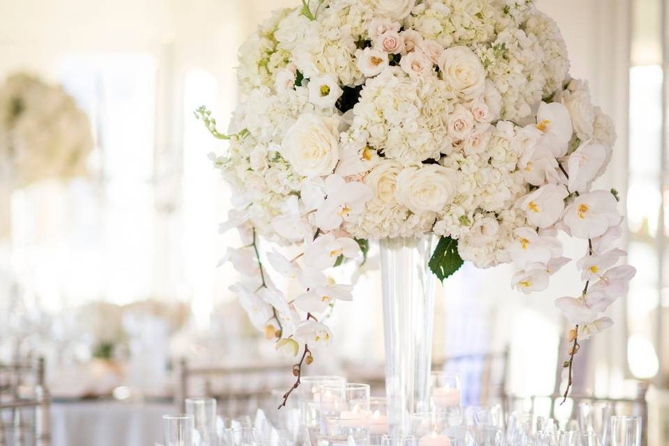 Luxe white at the Hay Adams