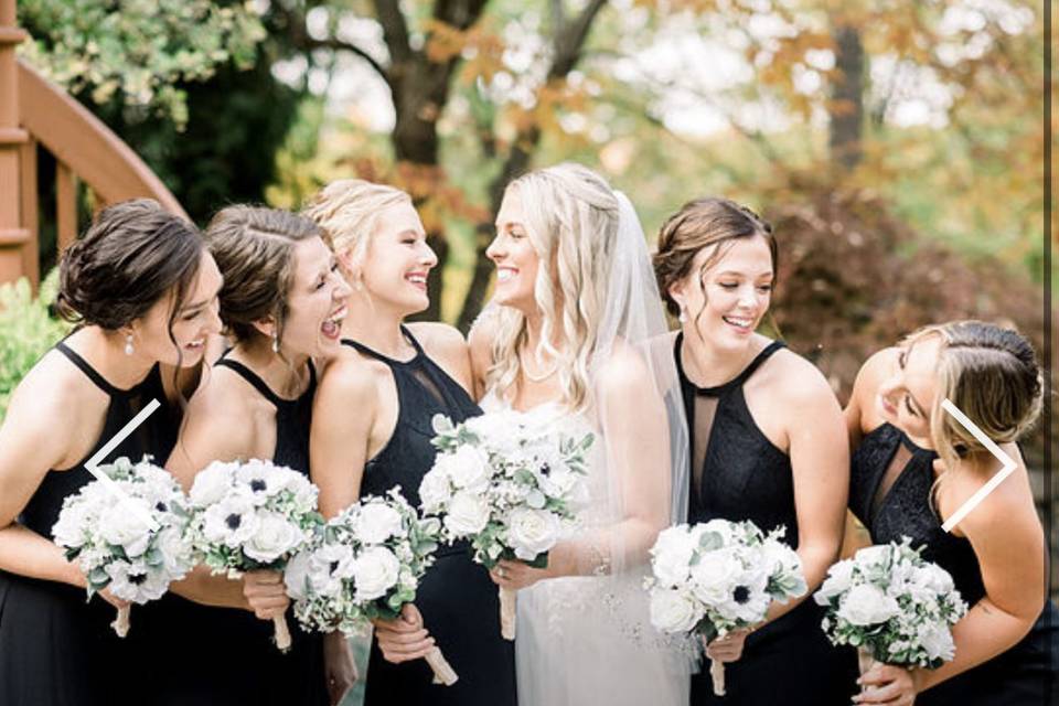 Emily and Bridal Party