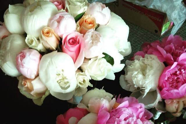 Peony delights