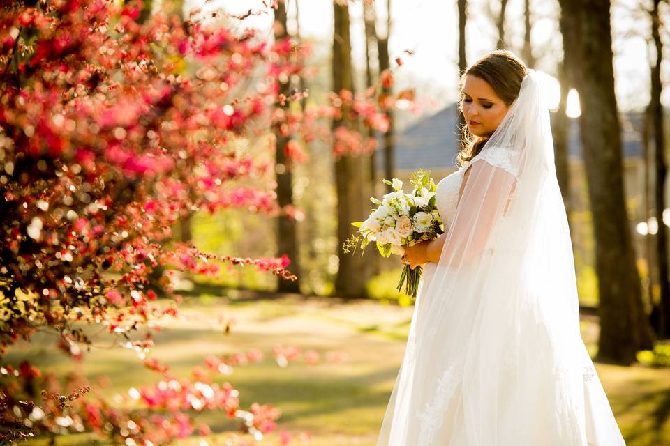 Bridal Photo Session Photo By Jerrod Brown Photography