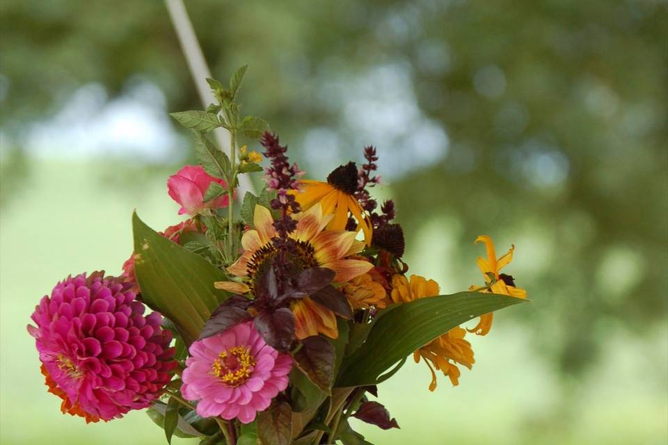 Farm Girl Weddings