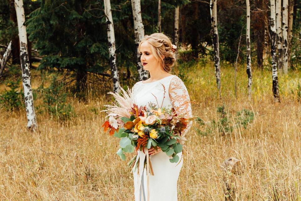 Brilliant Bridal - Denver