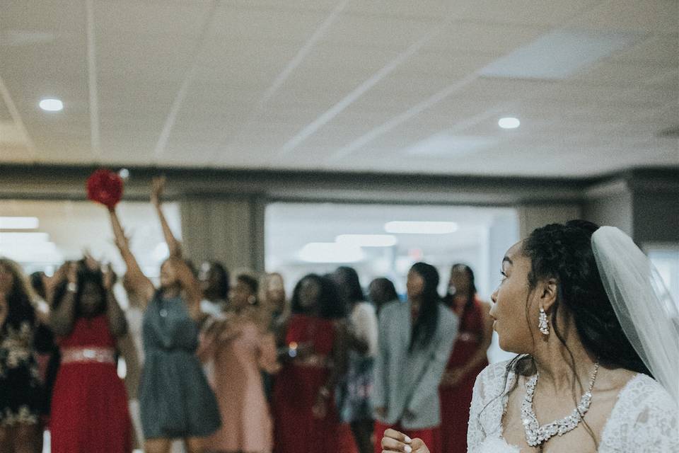 Tiff.gif Photography