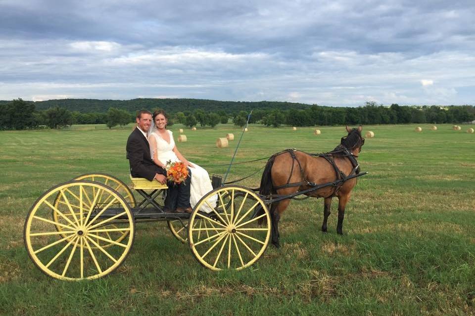 Moore Farms Rustic Weddings & Event Barns