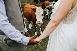 Wallenpaupack Creek Farm