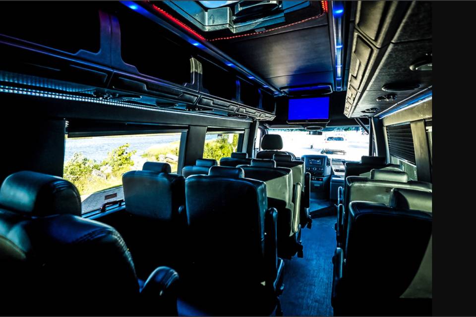 Lux limo sprinter interior