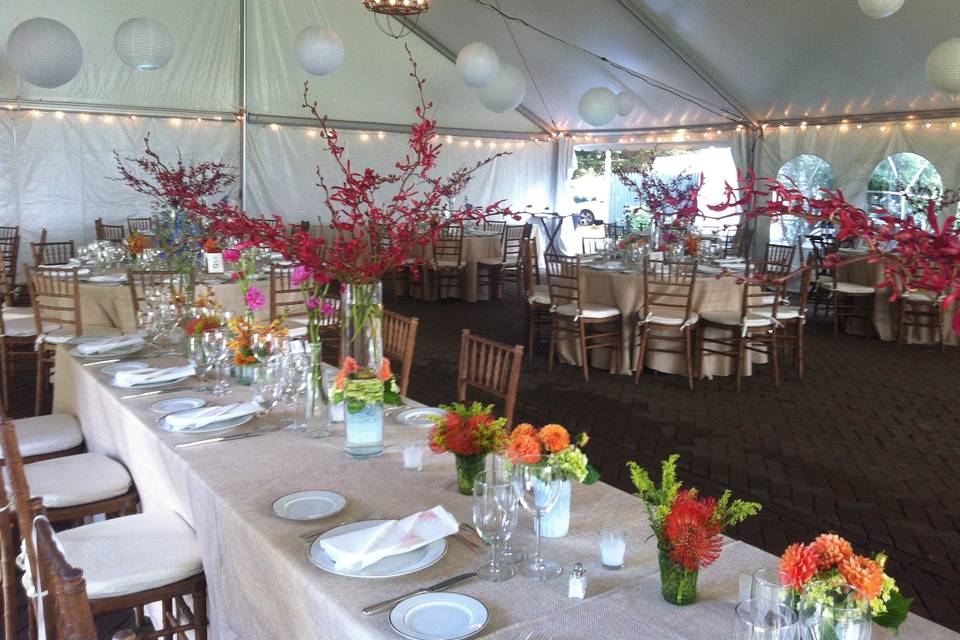 Wedding tent setup