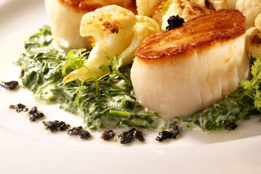 Scallops