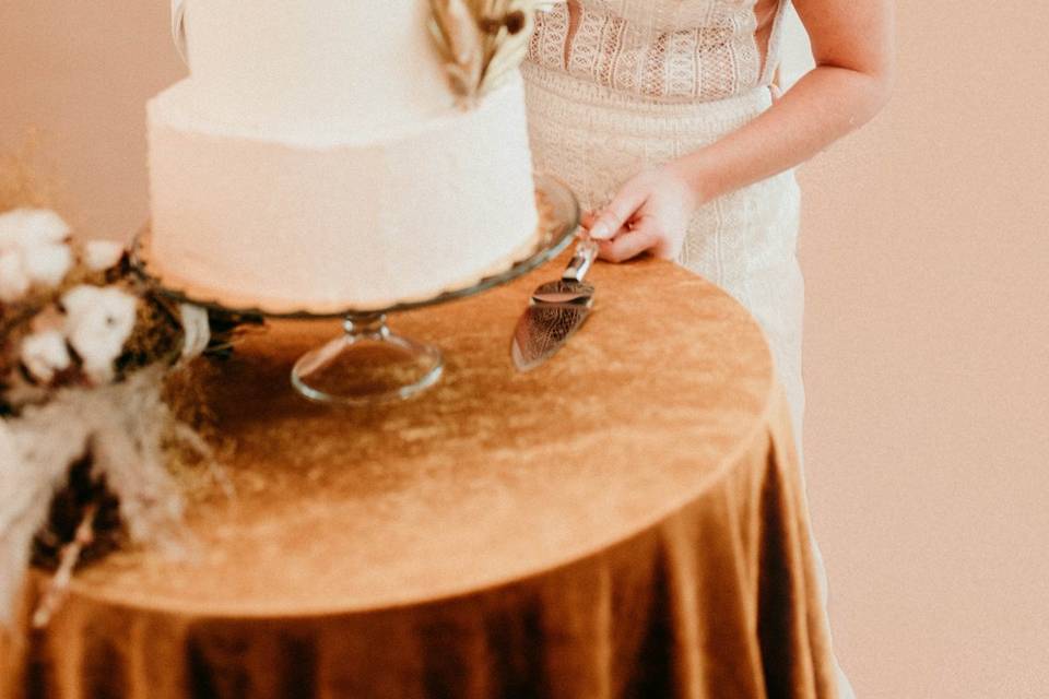 Newlyweds cutting the cake