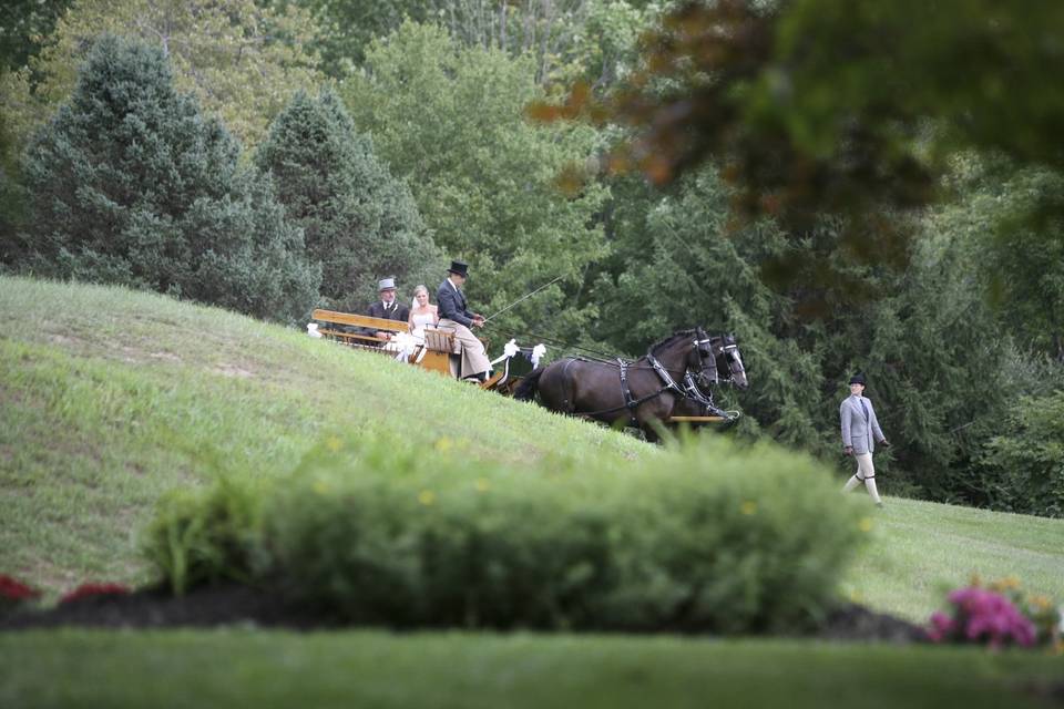 Horse & Carriage Entrance