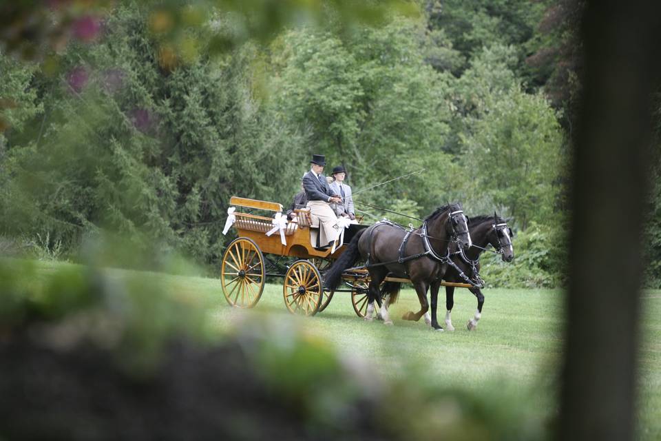 Horse & Carriage Entrance