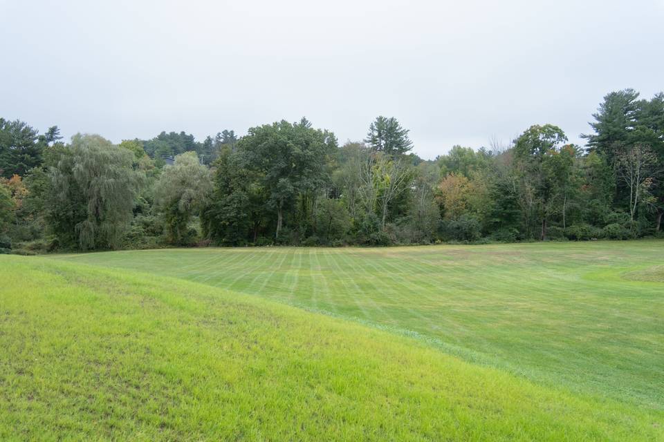 The Historic Common Field