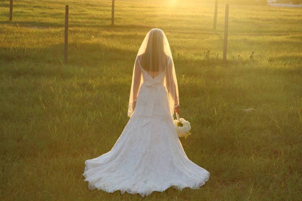 Elegant field sunlit bride