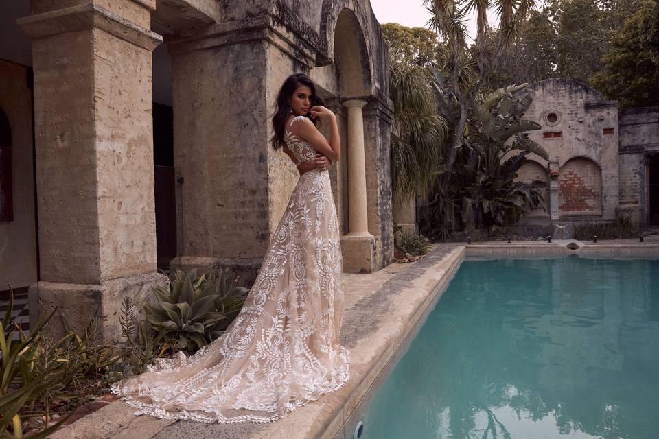 Evie Young lace gown