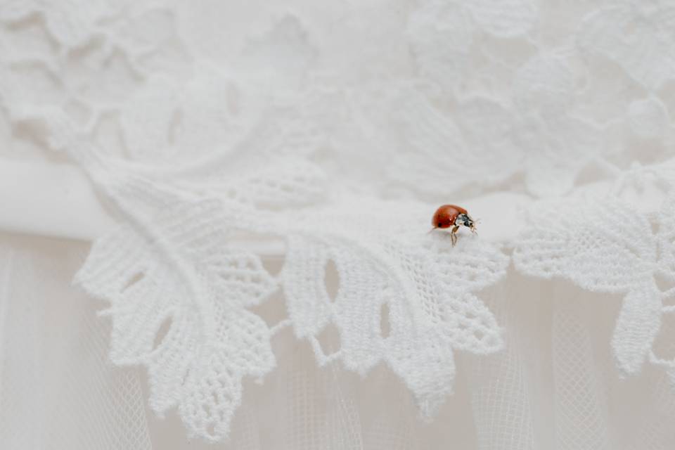 Lady Bug on brides dress.