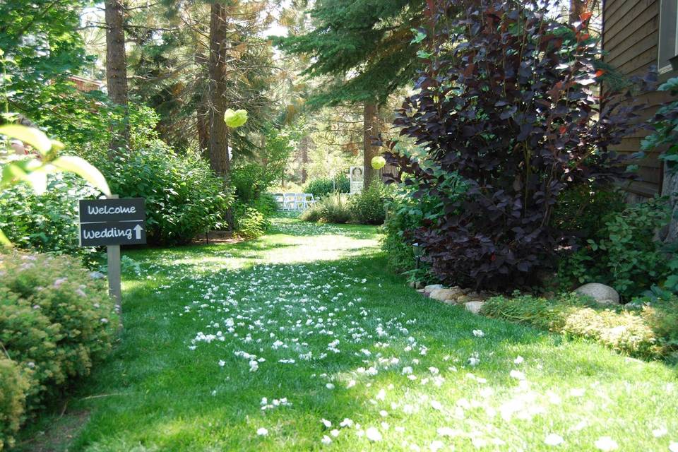 entrance for arriving guests and the start of the aisle way for the Bride.
Location: Backyard wedding in South Lake Tahoe, CA
Theme: Rustic
Colors: Green, White, Gray
Number of Guests: 100
Type of Coordinating: Full service with set up (reception and ceremony same location)