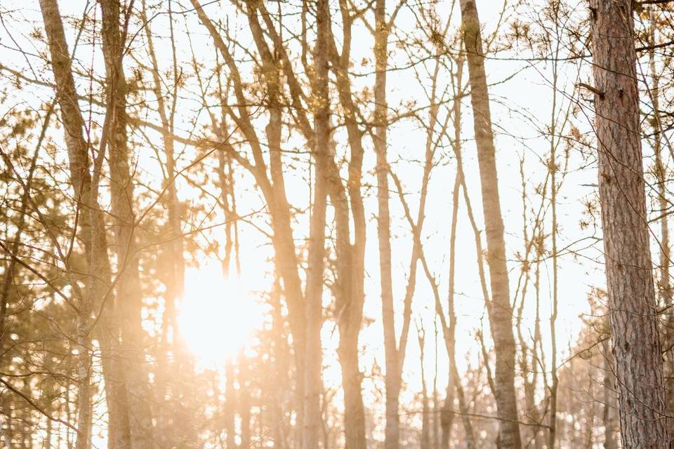 State park adventure session