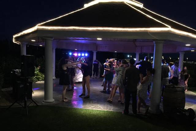 Wedding party