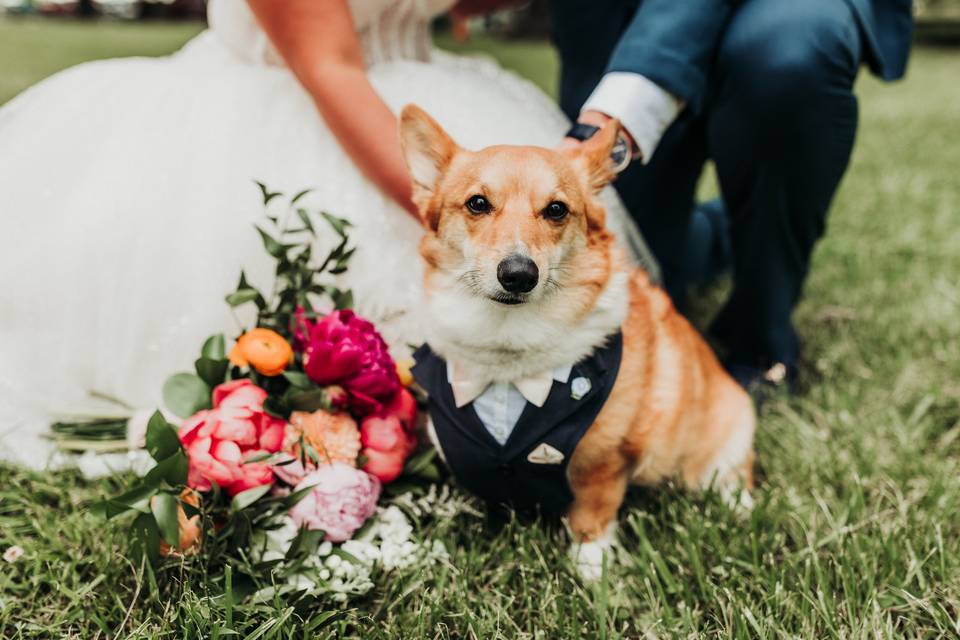 We love dog groomsmen!