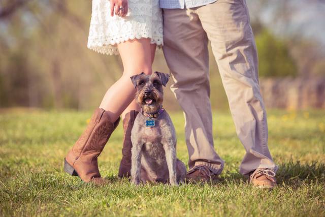 Fuzz is excited that his mom Brandi is about to marry Daniel