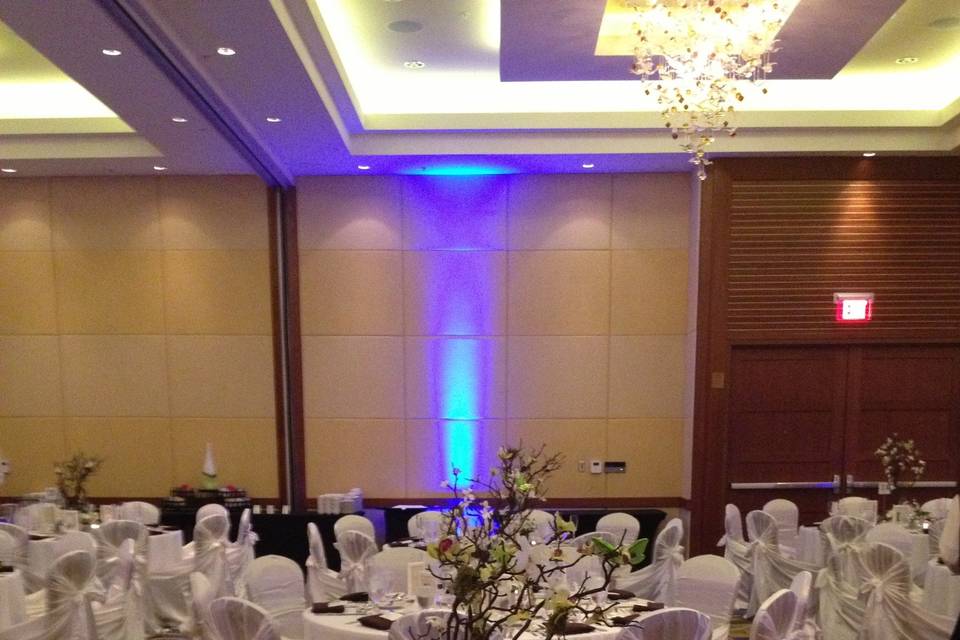 Reception Setting