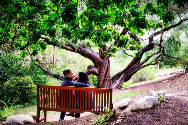 Engagement photo shoot