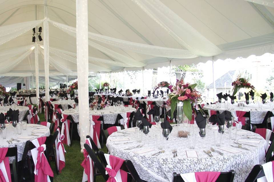 Assorted Pearl Strands  Mutton Party and Tent Rental