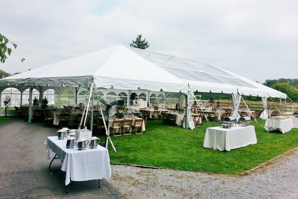 White Insulated Pitcher  Mutton Party and Tent Rental