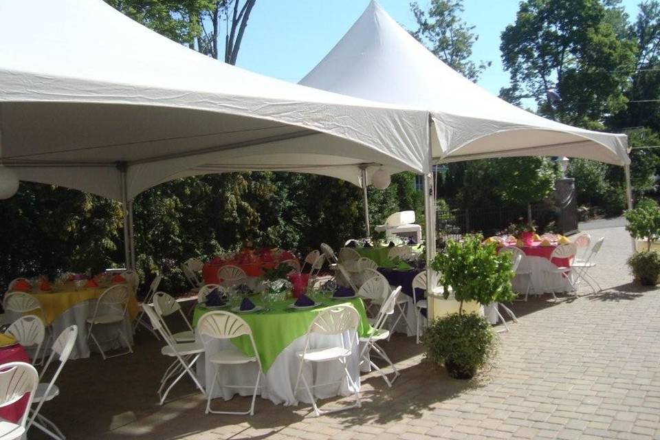 Assorted Pearl Strands  Mutton Party and Tent Rental