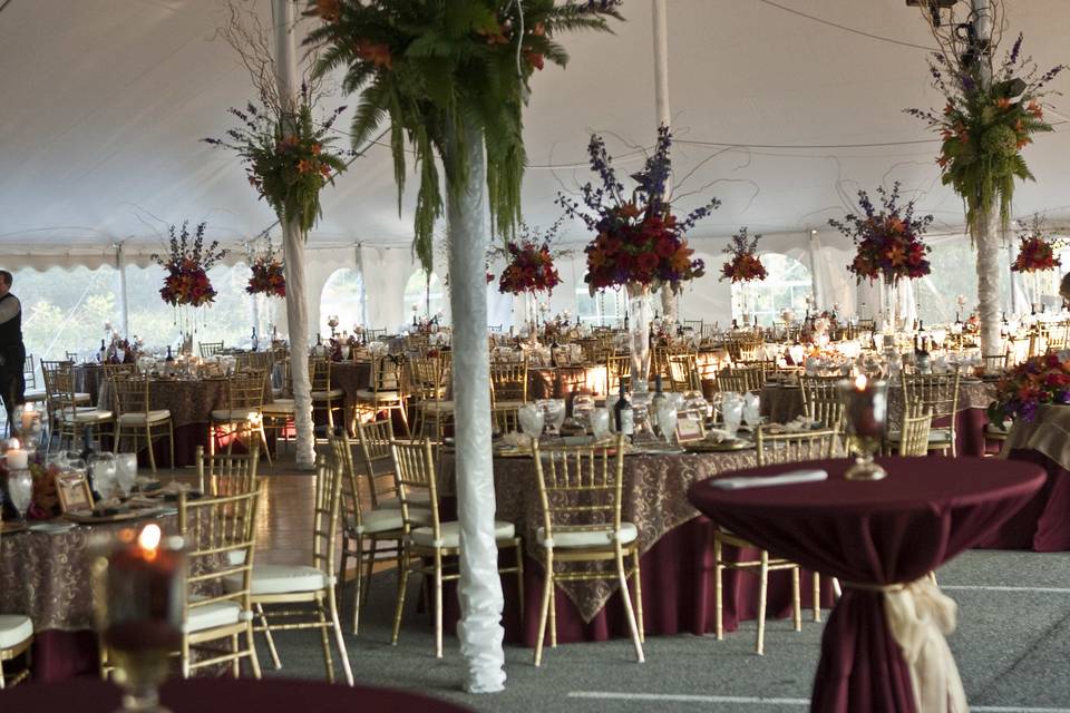 Assorted Pearl Strands  Mutton Party and Tent Rental