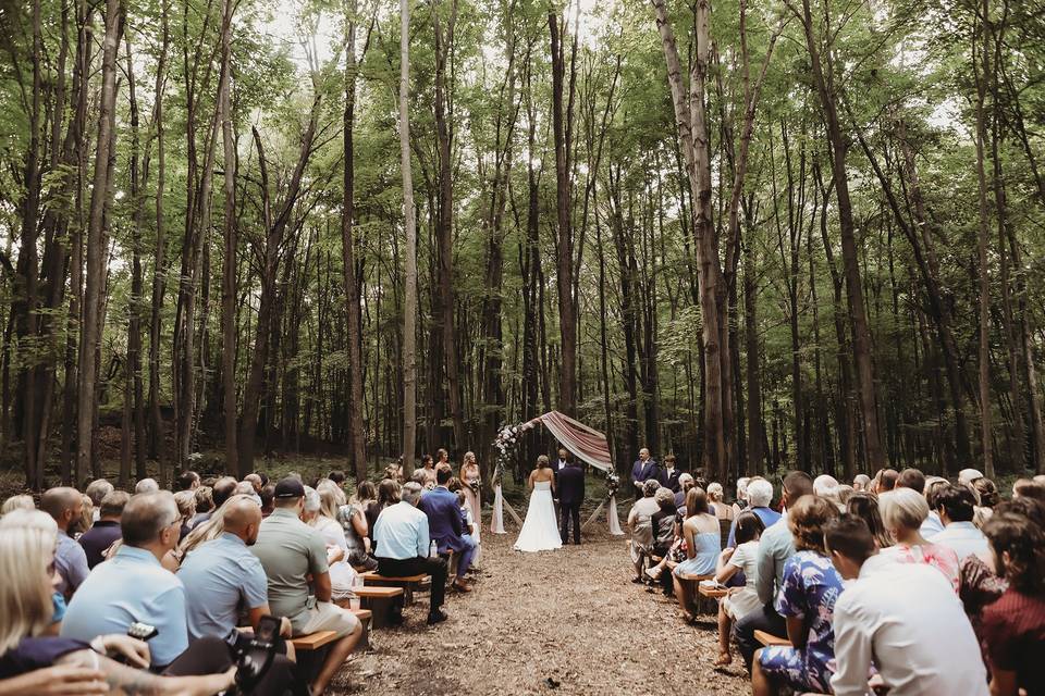 Woodland Weddings