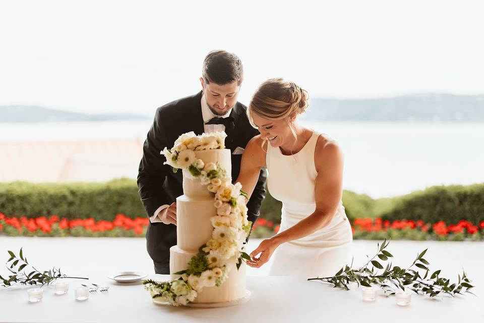 Cake Cut