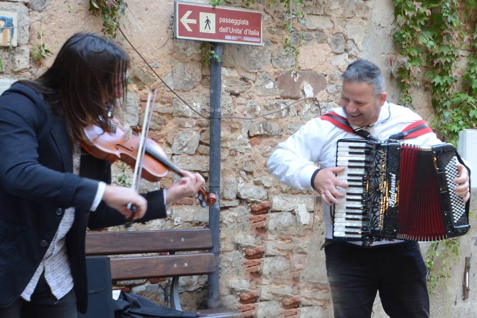 DUO: Violin-Accordeon