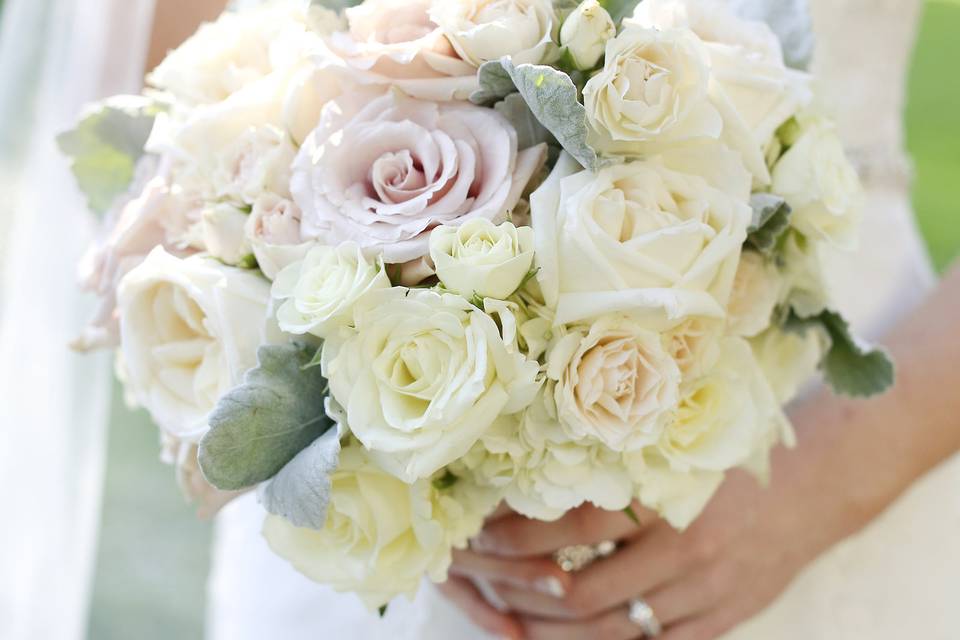 Nichole Bremer Photography