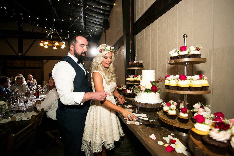Cake cutting | Christopher Cooke Photography